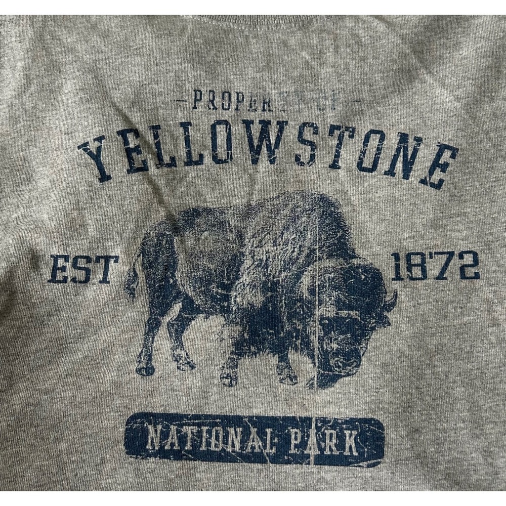 Gildan Yellowstone National Park Bison Graphic T-Shirt Gray Mens 2XL Tee